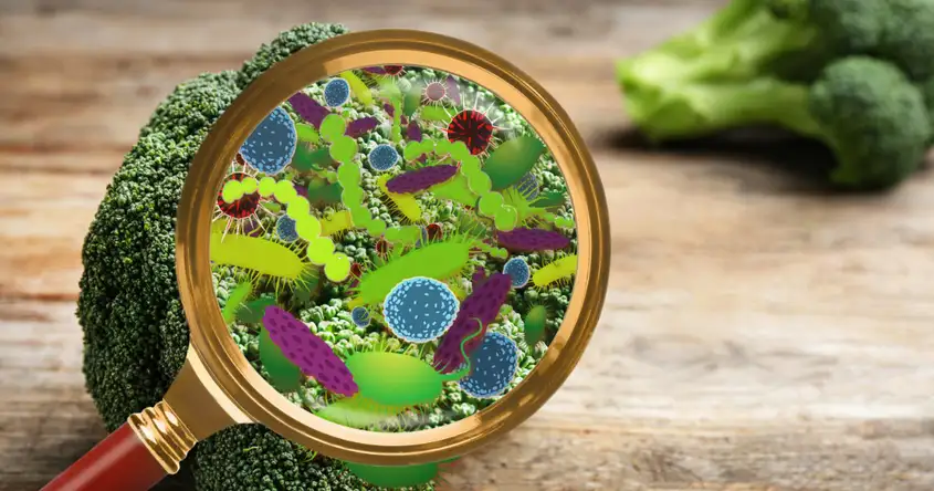 View of Which food can cause miscarriage? - miracleshealth.com