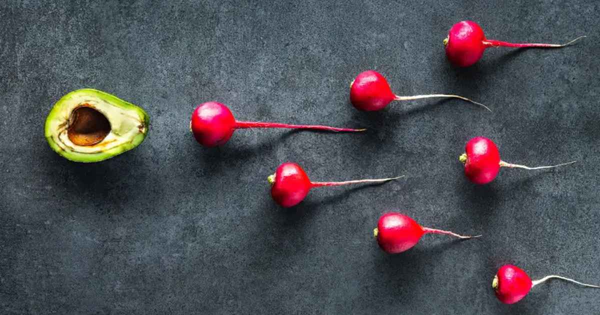 the-ultimate-fertility-diet-guide-what-to-eat-when-trying-to-conceive